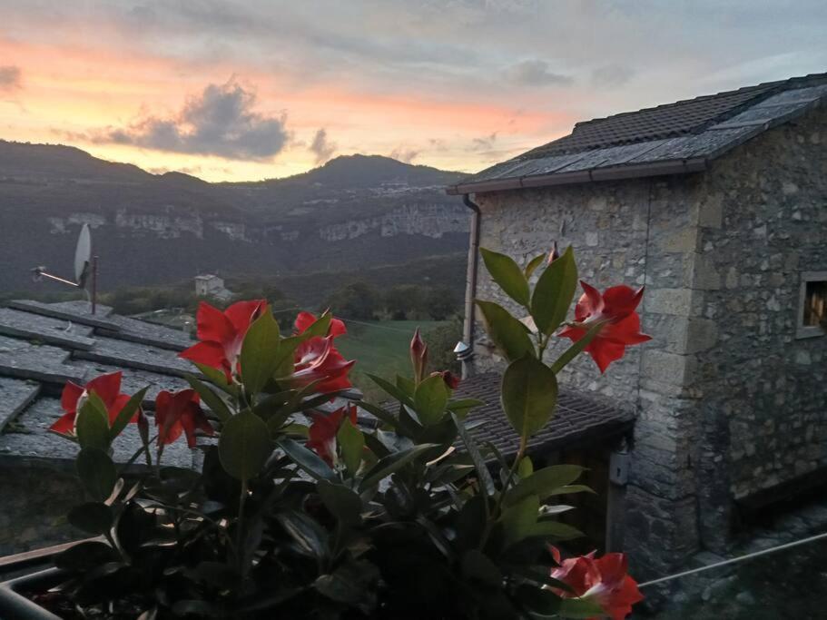 Casa Lia Lejlighed Cascine Eksteriør billede